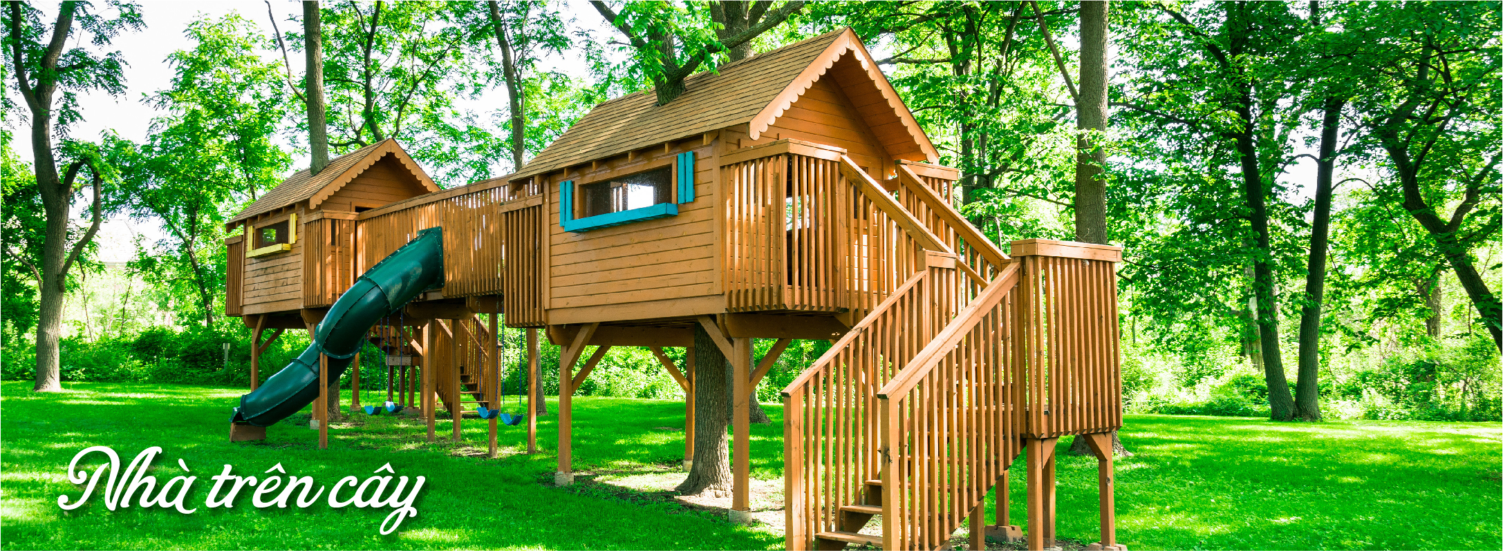 Nhà trên cây độc đáo chỉ có tại Sun Tropical Village