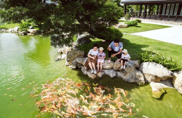 Giá trị chăm sóc sức khỏe đỉnh cao trong không gian vườn trong rừng nhiệt đới